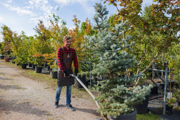 Frisco City, AL  Tree Services Company